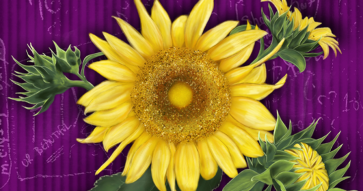Sunflowers Auguats 21 2018 - For Slider