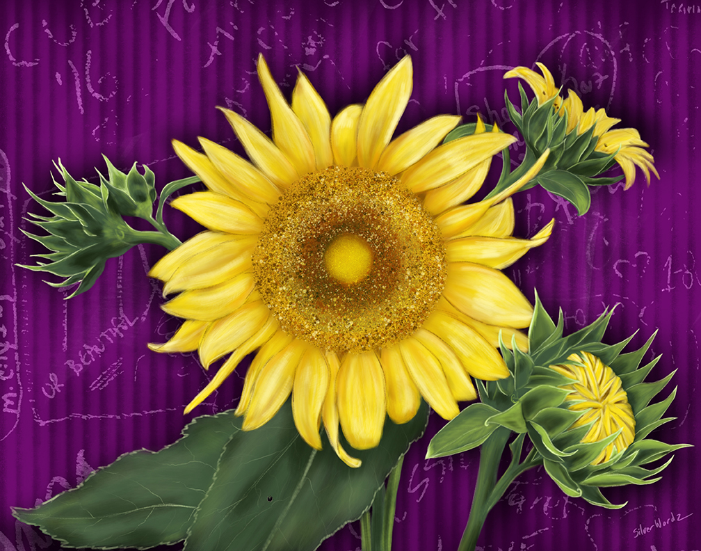 Sunflowers Auguats 21 2018